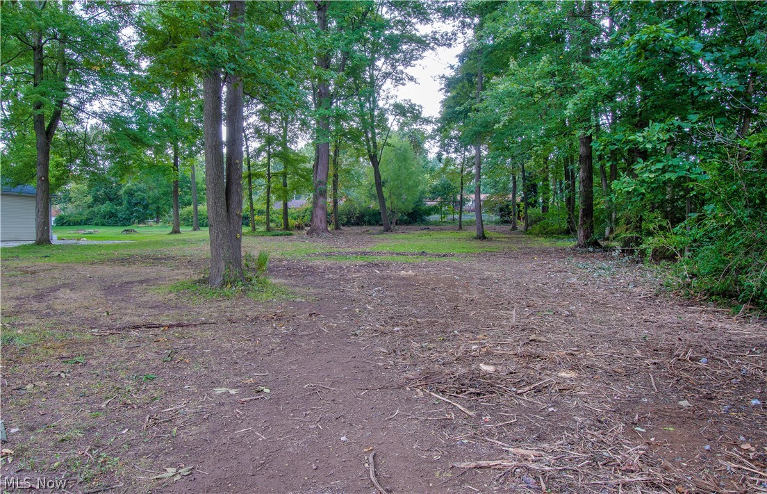 Nimisila Hlds 1st Add - Residential