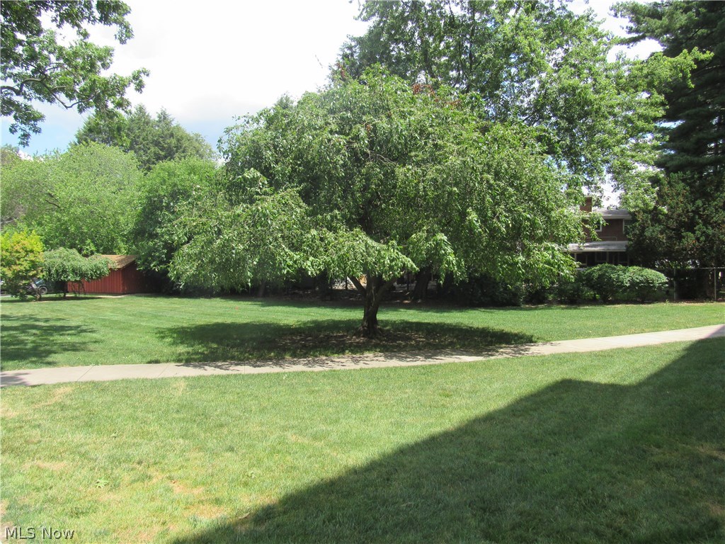 Seven Stories East Condo - Residential