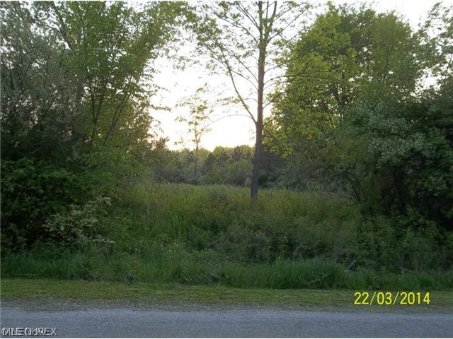 Snyder Farm 03 - Land