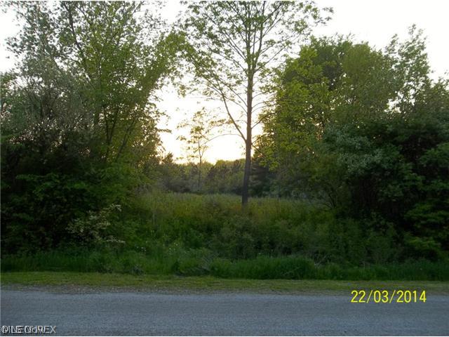 Snyder Farm 03 - Land