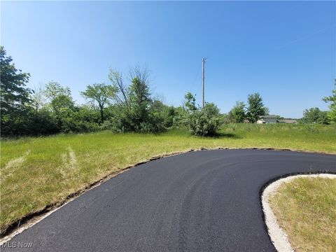 Vacant Land For Sale - 3248 Sonora Lane<br/> Ashland County, West Salem, OH 44287