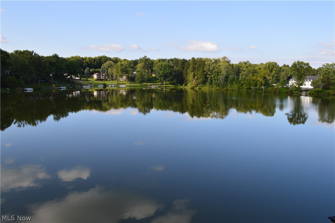 Willowdale Lake - Residential
