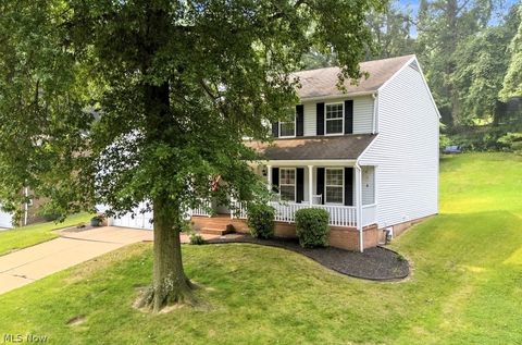 Homes For Sale - 1004 51st Street<br/> Vienna, WV 26105