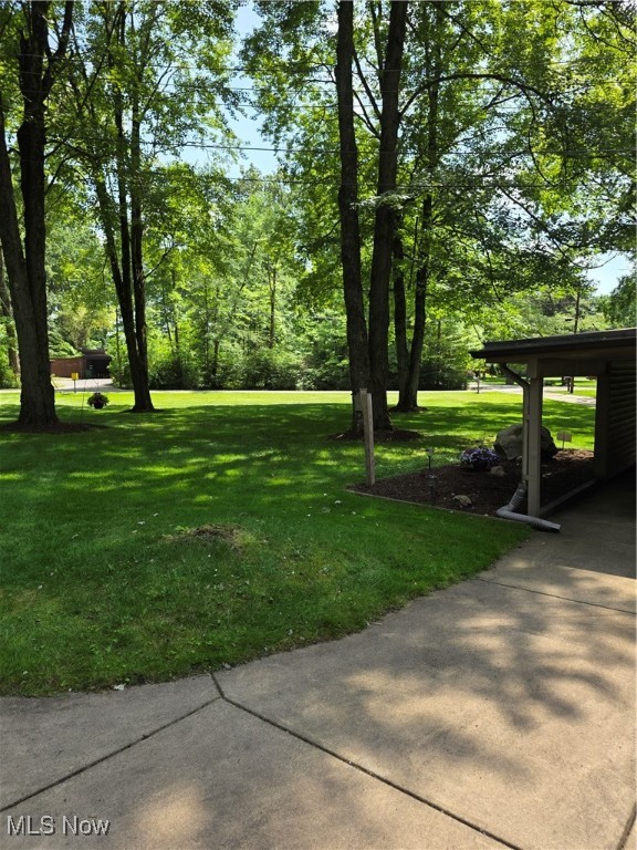 Silver Fox - Residential