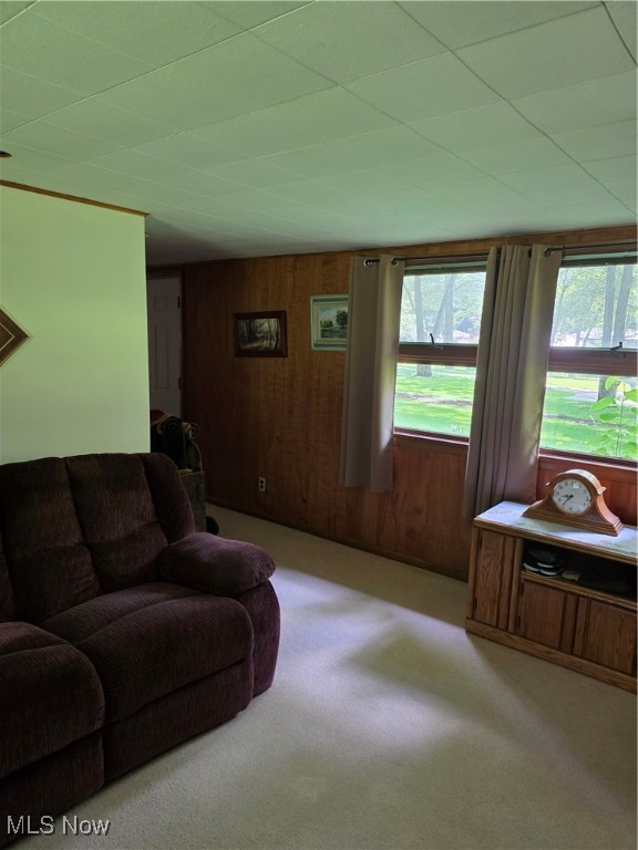 Silver Fox - Residential