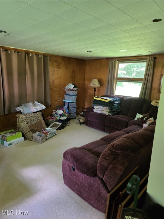 Silver Fox - Residential