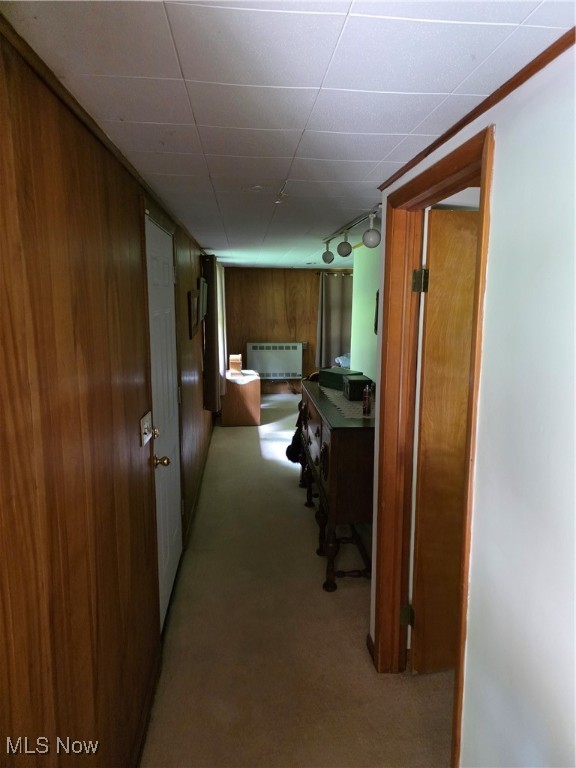 Silver Fox - Residential