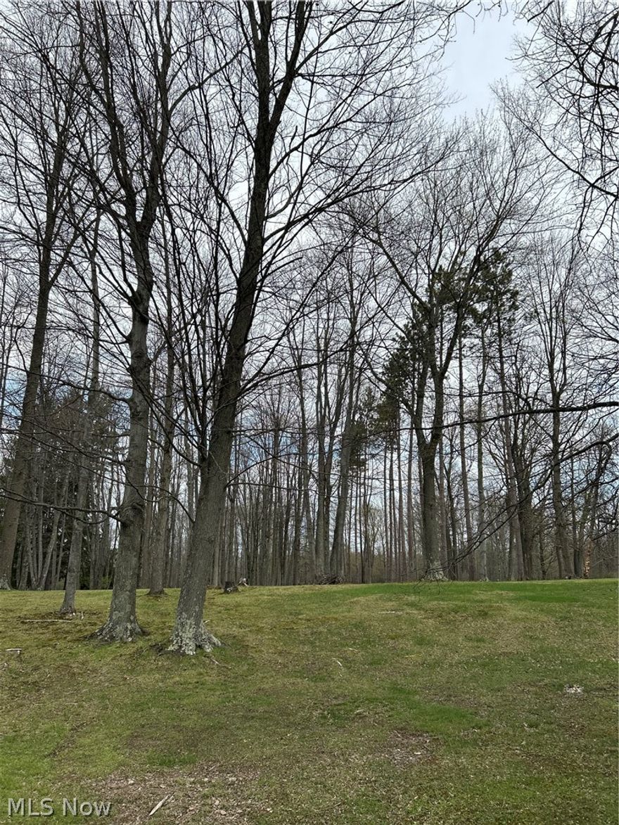 Beautiful 3.2-acre property in Orwell, Ohio offering a serene, park-like setting with mature trees and a creek gently running through the land. This peaceful property provides the perfect backdrop to build your dream home and enjoy nature right in your own backyard. The lot measures approximately 215 x 648 and consists of two parcels, with 1.27 acres in the township and 1.925 acres within village limits. Convenient access to city water, sewer, natural gas, and cable internet makes building easy while still enjoying a quiet, spacious setting. A charming gambrel barn (20' x 12') is already in place with a loft, ideal for storage, hobbies, or workshop space.
If you're looking for space, natural beauty, and a tranquil setting, this property is a must-see.