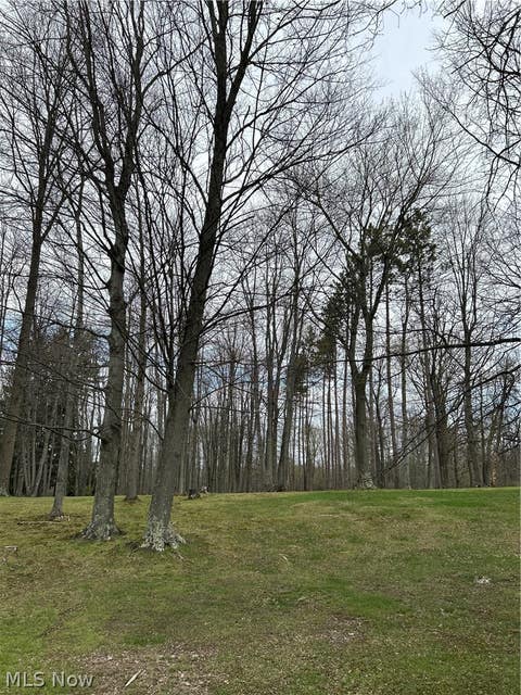 Vacant Land For Sale - 170 West Main St/ Us Rt 322<br/> Orwell, OH 44076