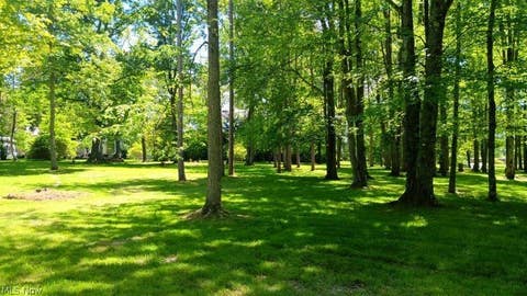 Vacant Land For Sale - 170 West Main St/ Us Rt 322<br/> Orwell, OH 44076