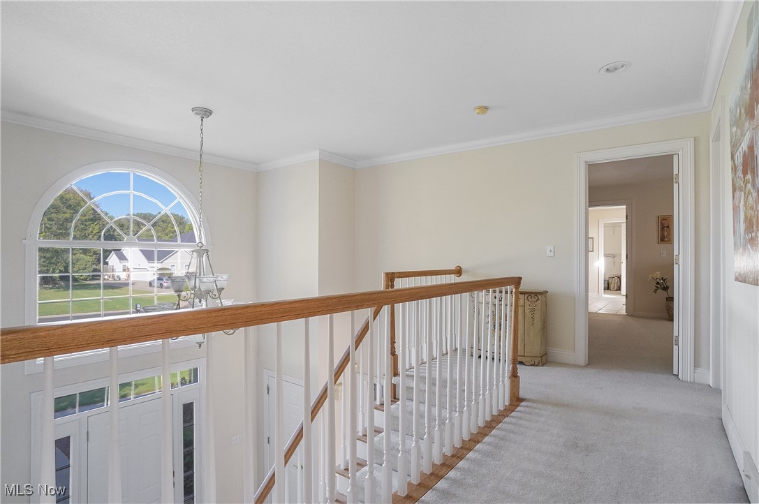Fox Den 1 - Residential