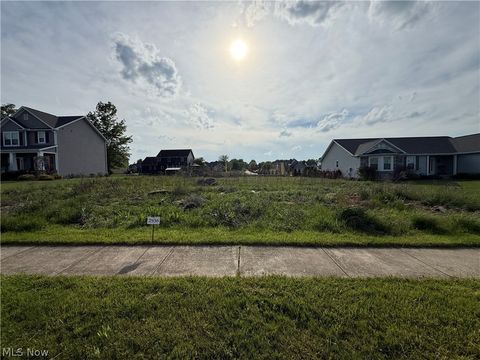 Vacant Land For Sale - 20 Oakview Crossing Xing<br/> Mahoning County, Canfield, OH 44406