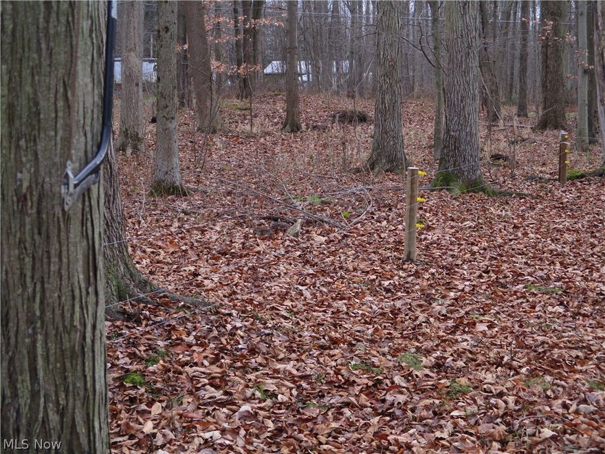 It's rough. Are you ready for a 10 x 12 cabin in the woods? Very rustic property with no well or septic.  But this double lot offers loads of privacy and quiet. Gorgeous tall trees.  This could be a wonderful place to build a larger and more spacious cabin.
This is not Conneaut Lake School district. THIS IS JAMESTOWN SCHOOL DISTRICT.