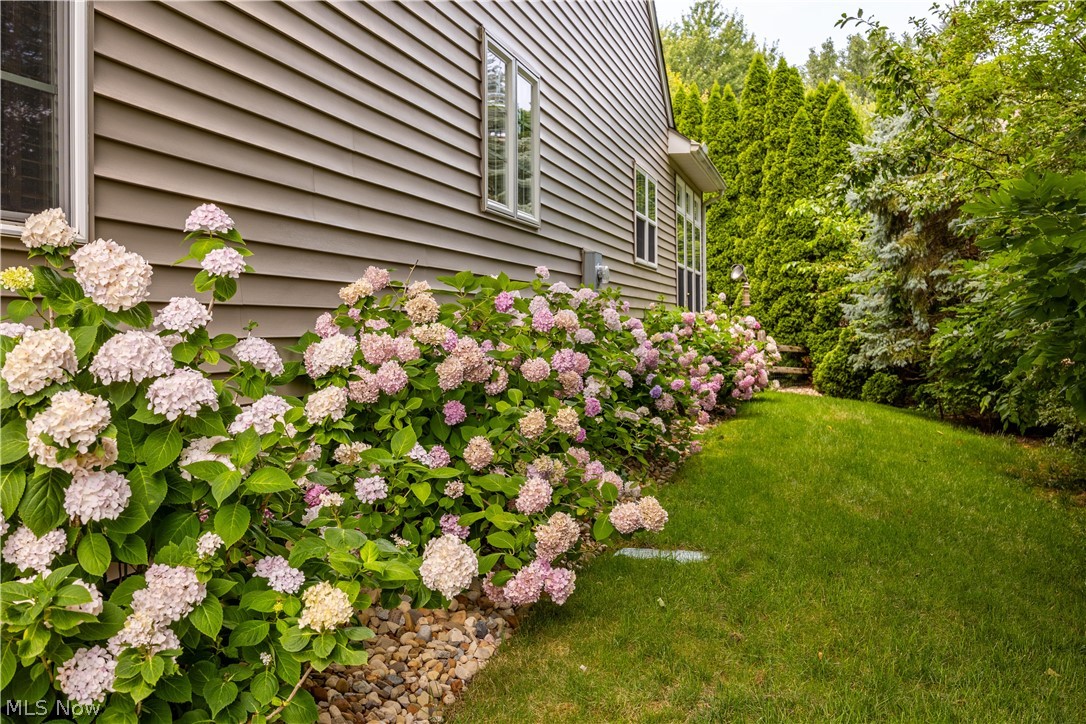 Piccolo Place Sub - Residential