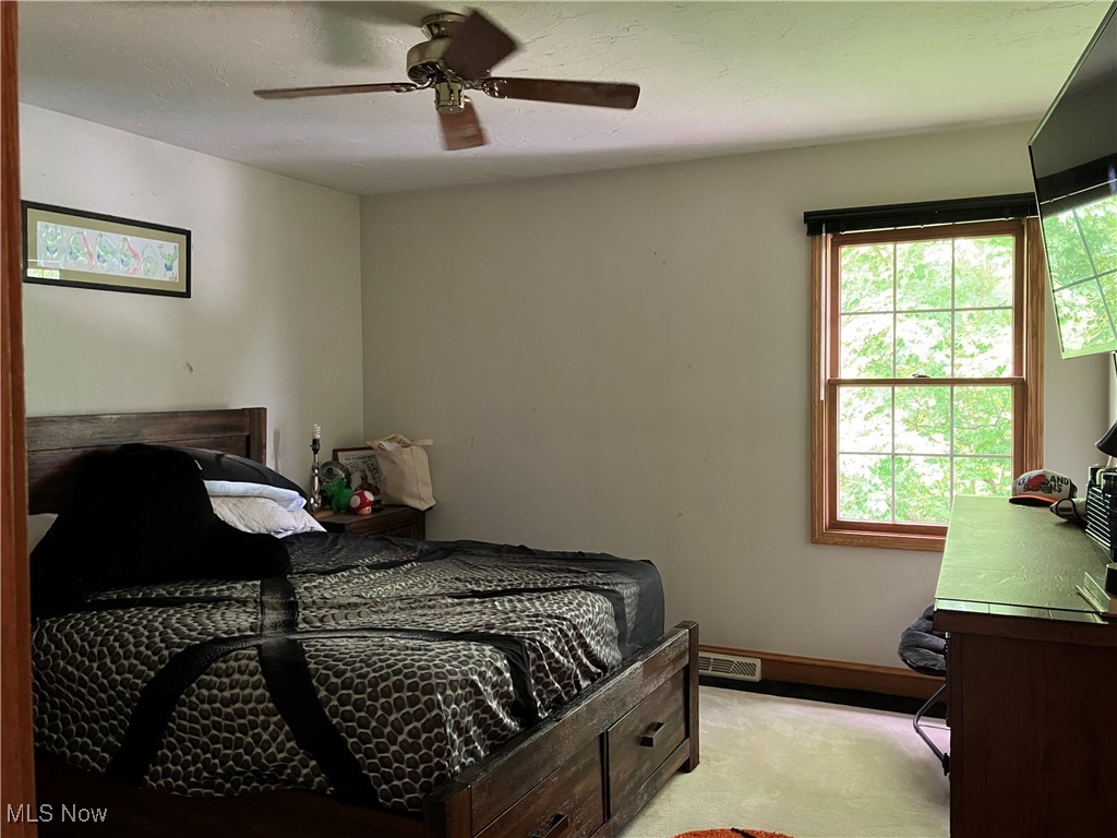 8879 Kennard Road, Lodi, Ohio image 19