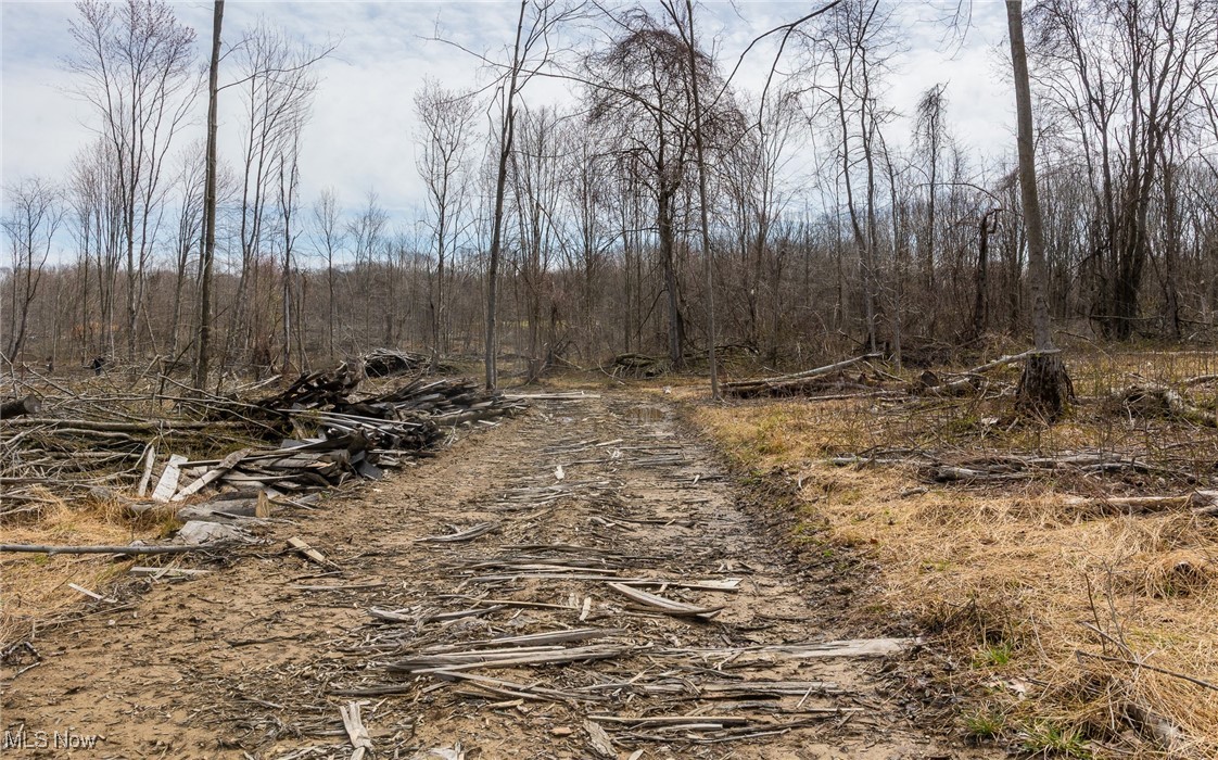 State Road, Kingsville, Ohio image 15