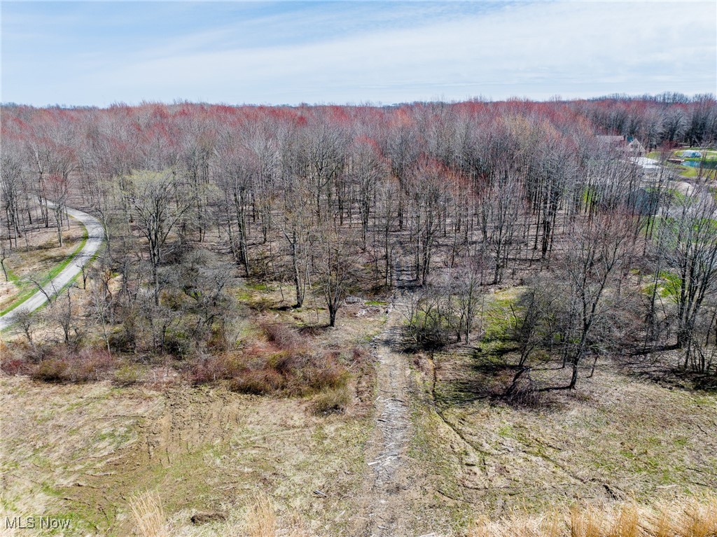 State Road, Kingsville, Ohio image 32