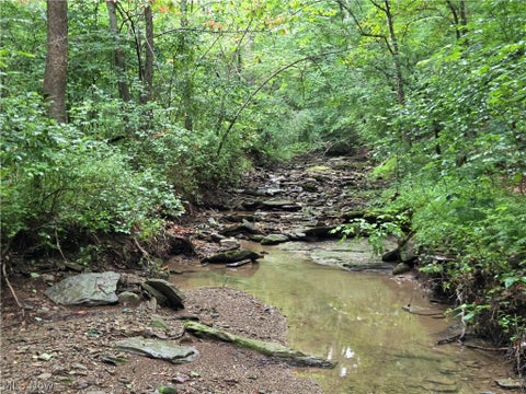 Tiny photo for 38559 Pattons Run Road, Sardis, OH 43946 (MLS # 5242467)