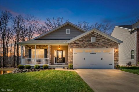 Homes For Sale - 10458 Dogwood Drive<br/> Summit County, Aurora, OH 44202