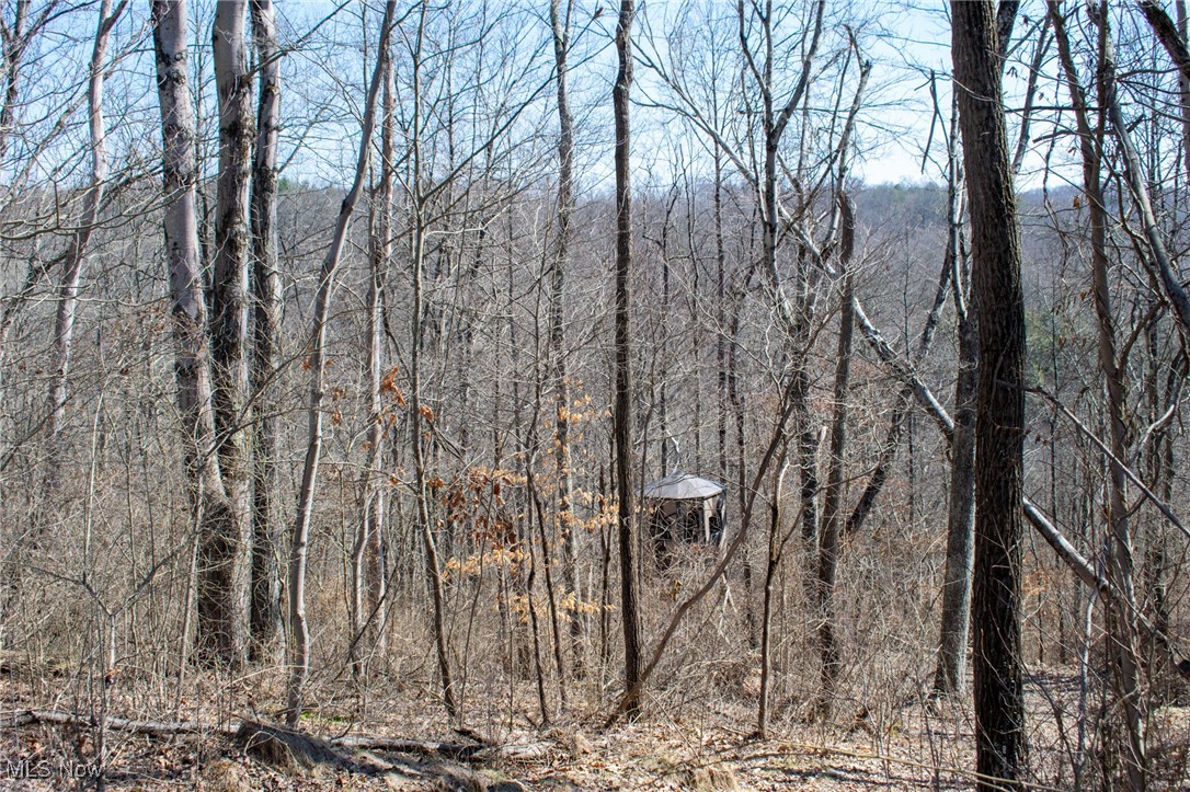 East Branch Road, Lowell, Ohio image 9