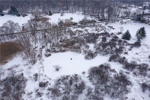 Vacant Land For Sale - 12167 Mantua Center Road<br/> Mantua, OH 44255