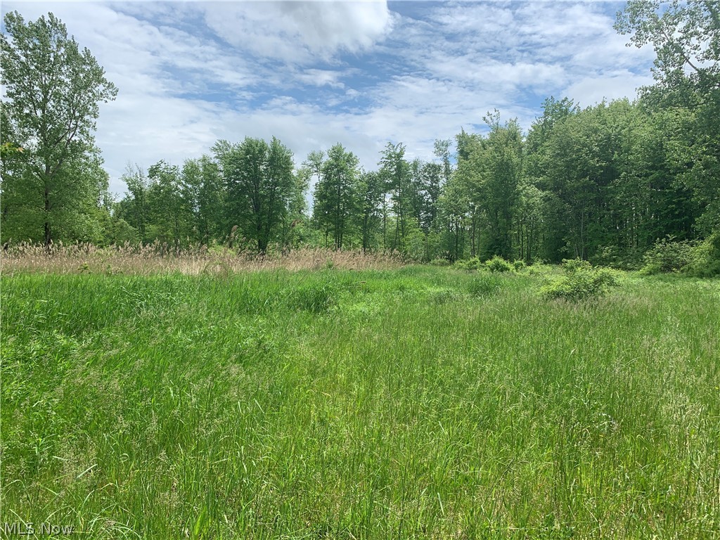 Here is a nice little property with a ton of potential. This property features a mixture of wooded/ open acreage and includes an unpaved drive. Looking to build your dream home, this lot could be it! Great location just minutes from Dorset Wildlife Area and roughly 15 minutes from Pymatuning Reservoir!