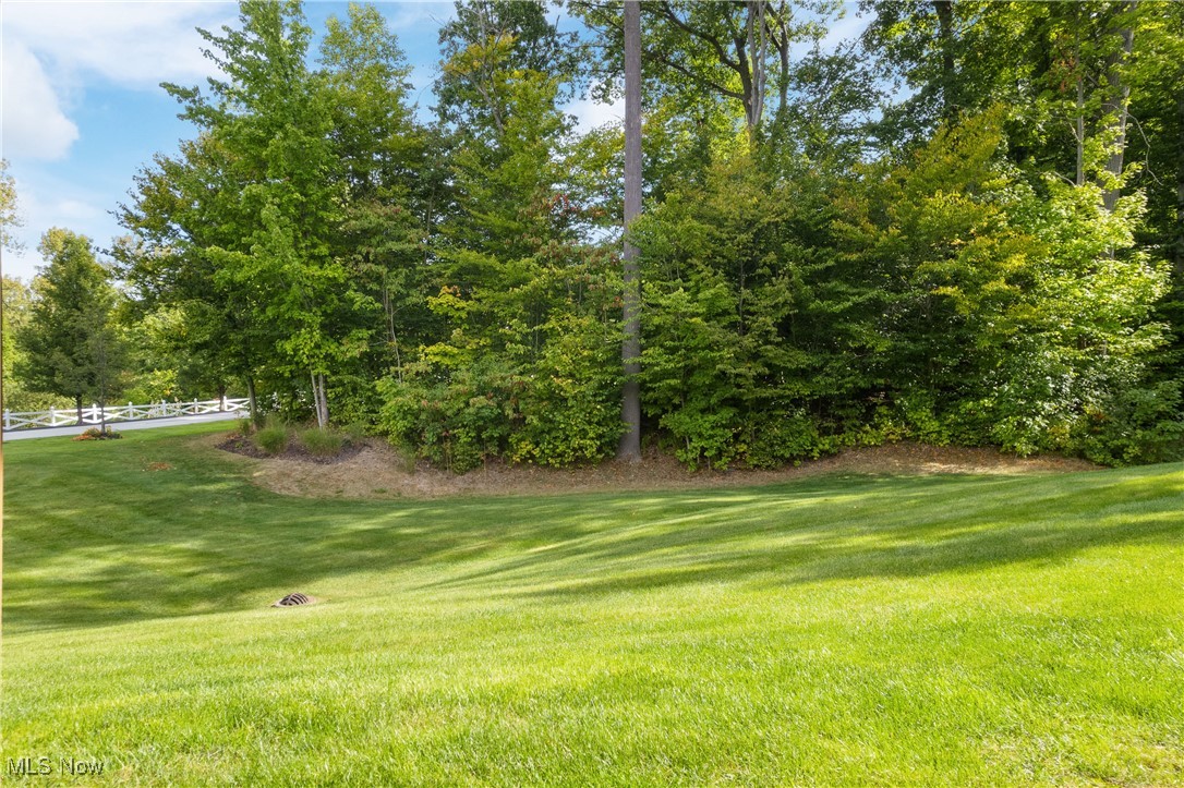 Auburn Hills Condo's - Residential