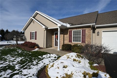 Condo For Sale - 170 Sandy Court #7<br/> New Middletown, OH 44442