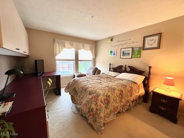 23003 Chandlers Lane #219, Olmsted Falls, Ohio image 19
