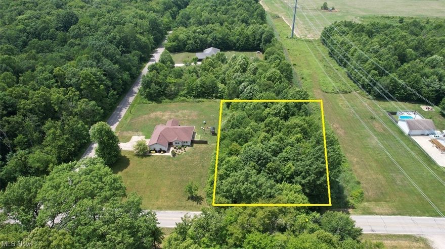 1.14 Acre Buildable Lot in Lordstown with CITY UTILITIES - Newton Falls Schools District. This Lot sits right between two beautiful homes on the corner of Pritchard Ohltown SW and Lyntz Townline Rd.