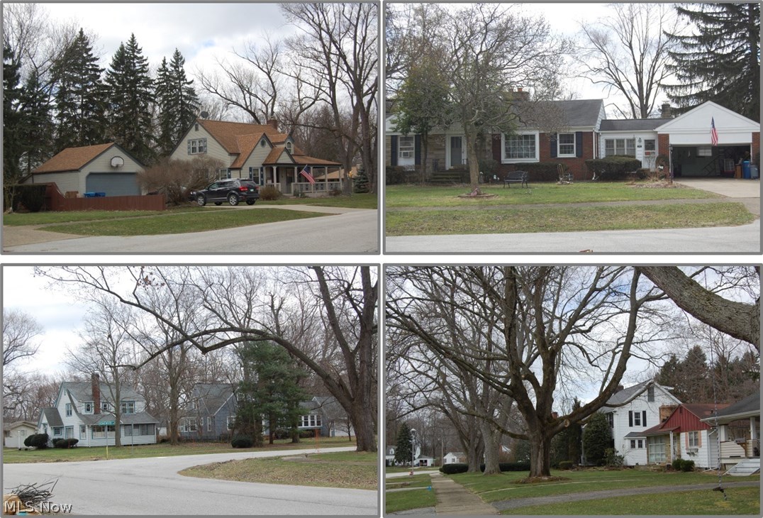 Edgewood - Residential