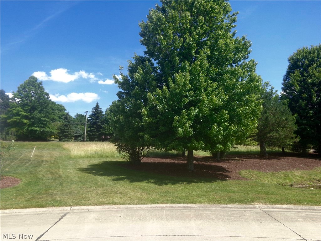 Founders Glen 1 - Land