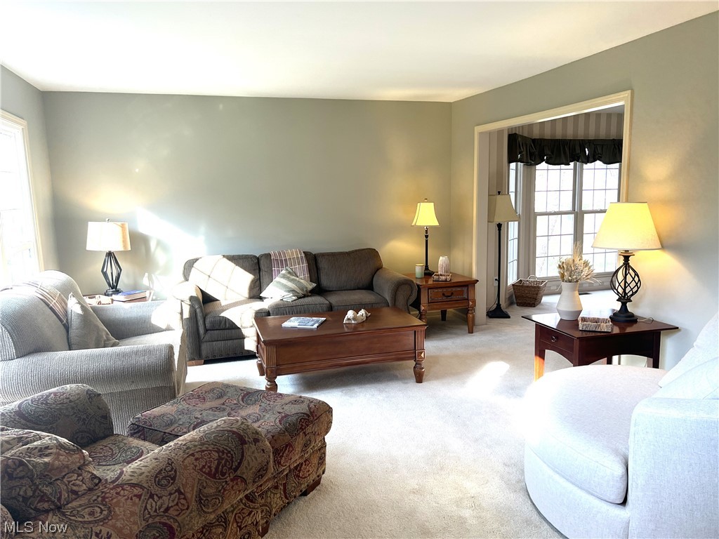 The Woods of Strongsville - Residential