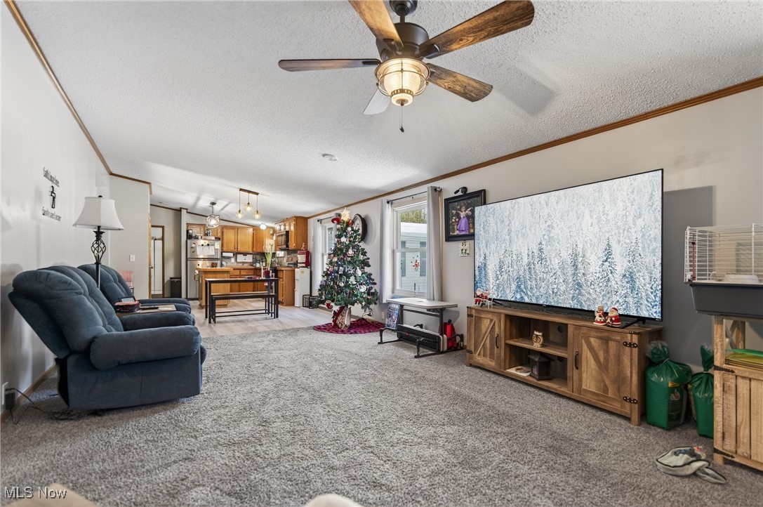 Beech Heights - Residential