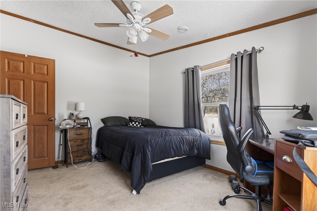 Beech Heights - Residential