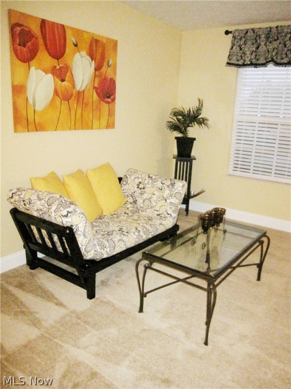 Ellet Woods Allotment Sec C - Residential