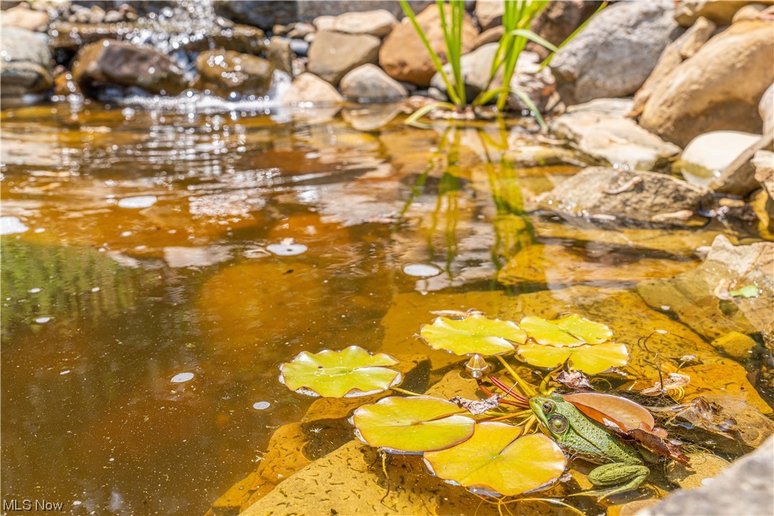 Foxtail Estates Ph II - Residential