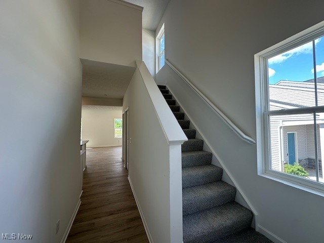 Orchard Park - Residential