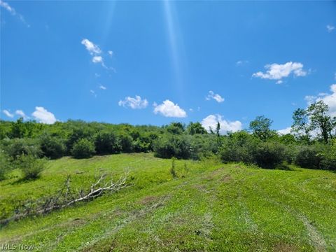 Vacant Land For Sale - V/L Shephard<br/> Bethesda, OH 43719