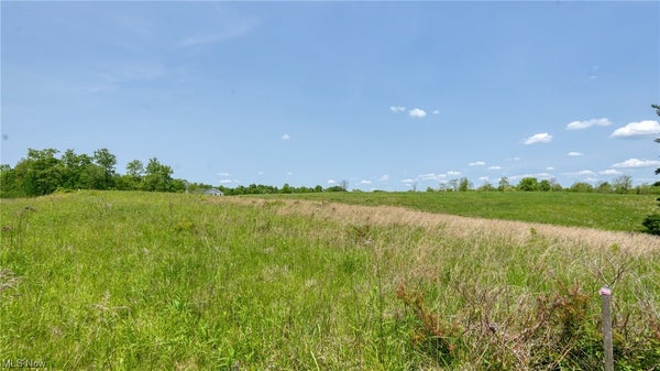 63680 WINTERGREEN RD, LORE CITY, OH 43755 - Image bb66aadd78cbd7ee42dac299dacb6cd9/3775655103