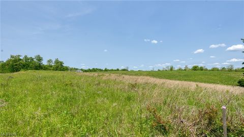 Vacant Land For Sale - 63680 Wintergreen Road<br/> Lore City, OH 43755