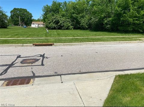 Vacant Land For Sale - V/L- Eton Street<br/> Twinsburg, OH 44087