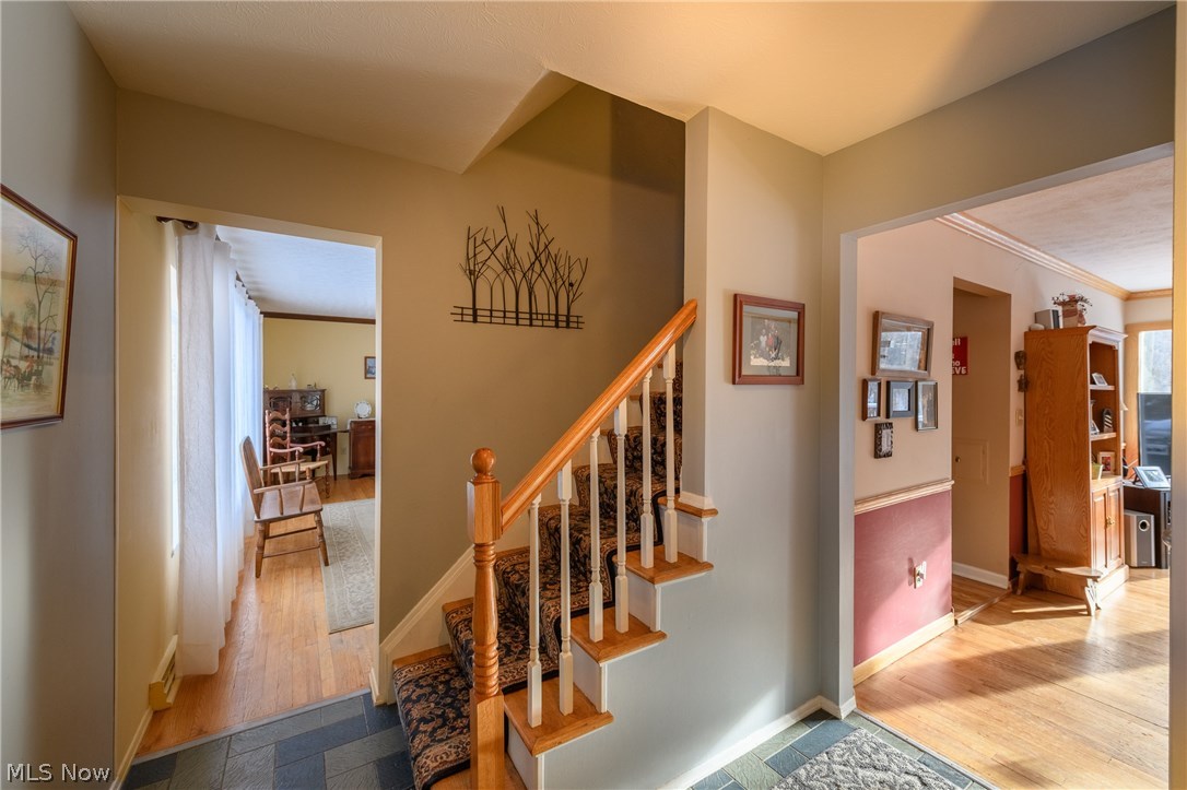 Woodpark Estates Allotment - Residential