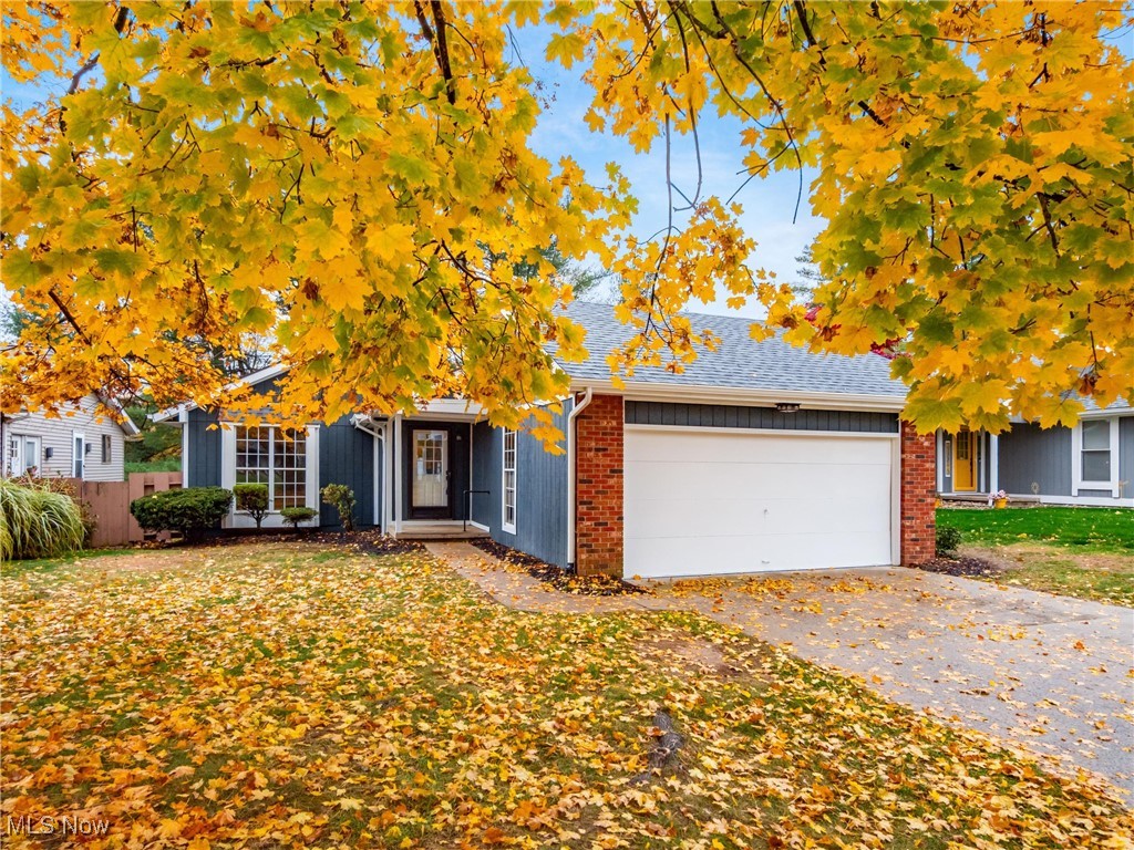 Terrace Court Colony North - Residential