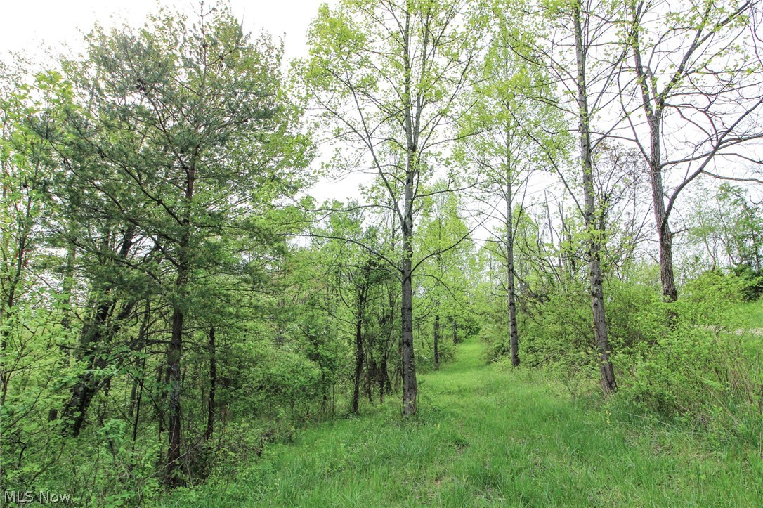 Lot 1 Moss Run Road, Marietta, Ohio image 4