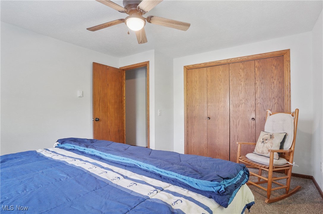 22010 Mountz Road, Minerva, Ohio image 26