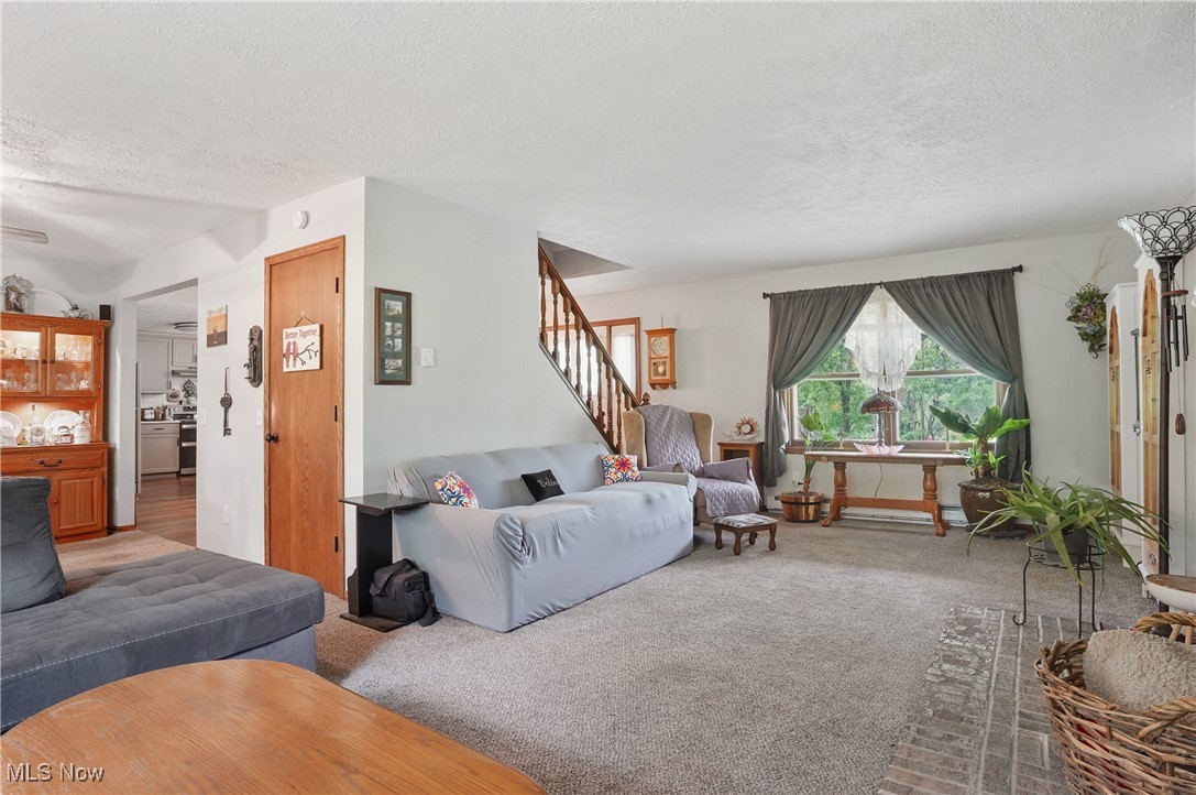 22010 Mountz Road, Minerva, Ohio image 7