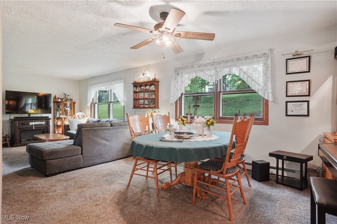 22010 Mountz Road, Minerva, Ohio image 10