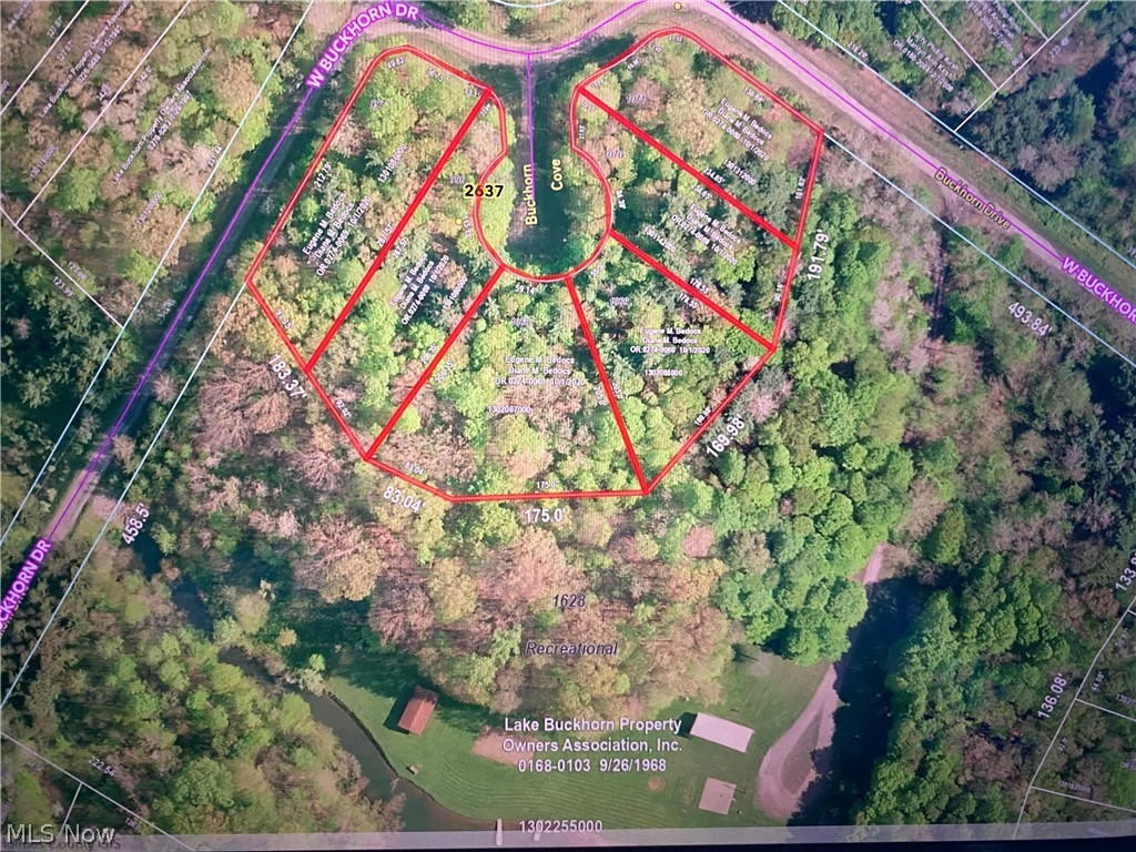 Lake Buckhorn - Land