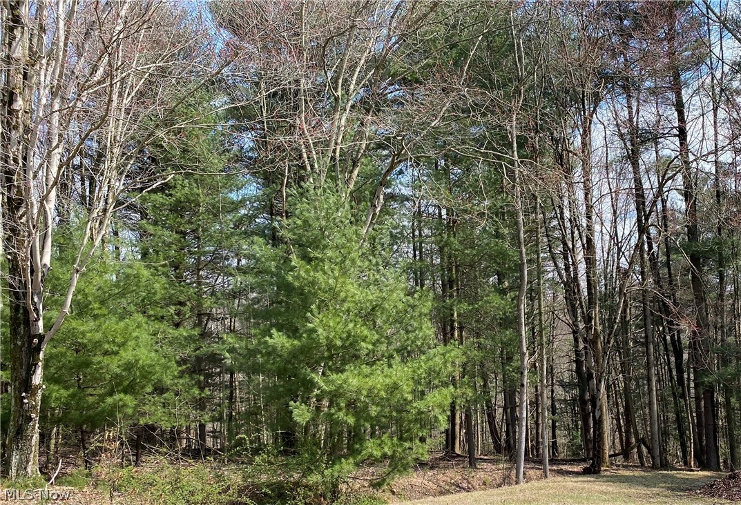 Lake Buckhorn - Land